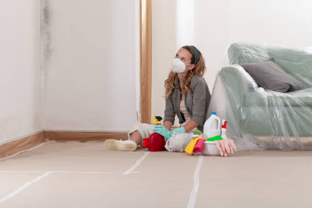 Reliable Black Mold Remediation contractor in Euless, TX by Car Mold Remediation